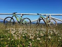 Negocio Astur E-bikes