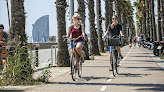 Ben Bike Bicitram
