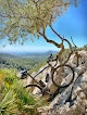 Negocio Berner Bikes Mallorca