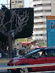 Negocio Bicicas Station 15 Huerto Sogueros
