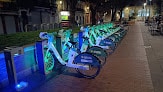 Negocio Bicicletas Eléctricas Alquiler Ride On