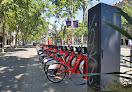 Negocio Bicing