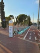Bicipalma