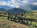 Negocio Bikepicos