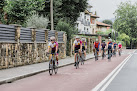 Negocio Bizi Cycle Tours