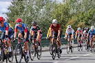 Negocio Curro Bikes Cycling