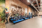 Escapa Gallery