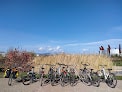 Negocio Guiartu Alquiler De Bicis