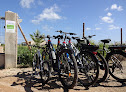 Negocio Like Ebike Mallorca Vermietung & Touren J. & J. Deppisch