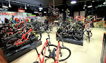Negocio Mammoth Bikes Cantabria