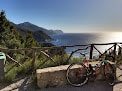 Negocio Mills And Honey Cycling Mallorca