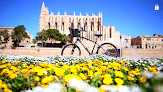 Negocio Nano Bicycles 2 - Bike Rental Palma