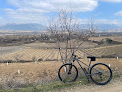 Negocio Oja Sport