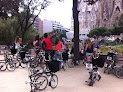 Ok Barcelona Tours