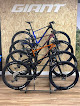 Negocio Oxygen Bicycle Bike