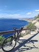 Negocio Rent A Bike Veska