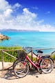 Negocio Rental Bikes Mallorca - Girasol
