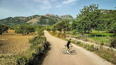 Negocio Rossrent Mallorca
