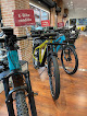 Negocio Sansuebike